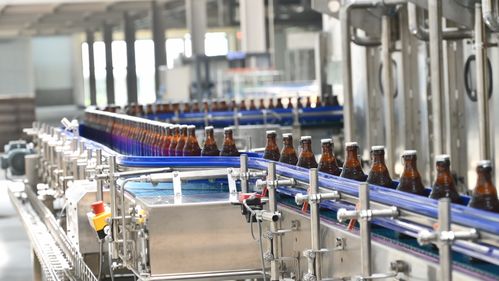 許巍 光良 長春勞德巴赫火熱音樂節全陣容官宣